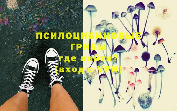молекула духа Аркадак