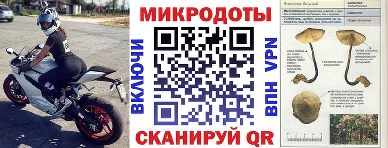 Псилоцибиновые грибы GOLDEN TEACHER  mega маркетплейс  Сертолово  сколько стоит 